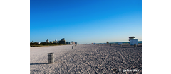 miami_slides 12