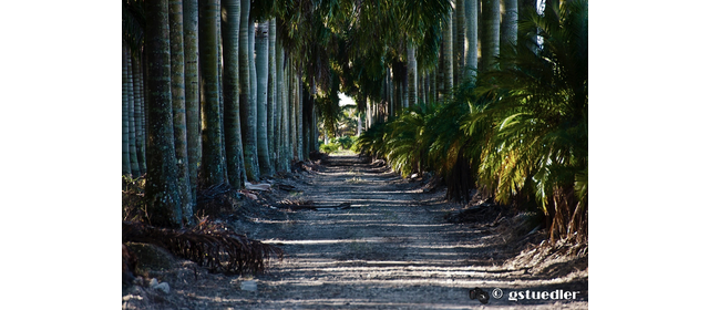 miami_slides 22