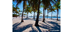 miami_slides 42