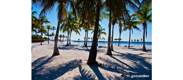 miami_slides 42